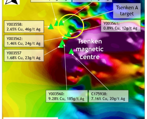 Map of magnetic data from the Tsenken target showing the location of the high-grade rock samples.